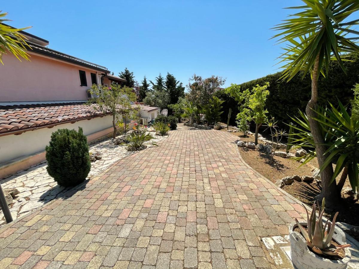 Arenella